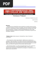 Actividad Fisica en Adulto Mayor