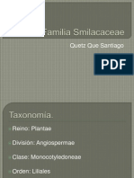 Fam Smilacaseae
