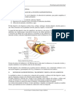 Resumen de Fisiologia Gastrointestinal