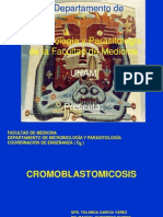 6 Cromoblastomicosis