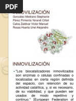 INMOVILIZACIÃ_N_PPT[1]