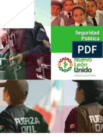 Ps Seguridad Publica 2010-2015 2 PDF