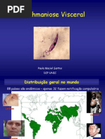 Leishmaniose Visceral