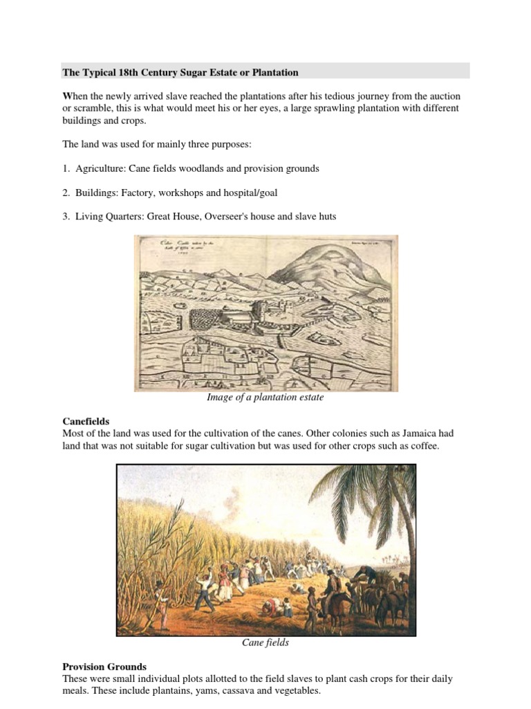 Teaching slavery image