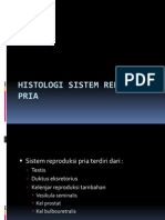 Histologi Sistem Reproduksi Pria.p1