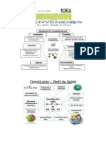 Resumen Estructura Curricular