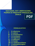 Mešoviti Kranijalni Živci