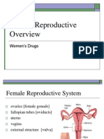 Female Reproductive Overview