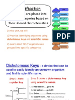 Dichotomous Key Scientific Names