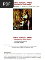 Santo Rosario Virgen de Guadalupe