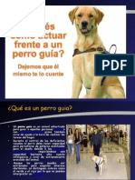 Perritos Guias