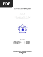 Download Cytomegalovirus Cmv by Fajar KaKi SN142466994 doc pdf