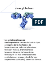 Proteinas Globulares y Fibrilares