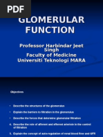 Download 2 GLOMERULAR ULTRAFILTRATION by Hakimah K Suhaimi SN14248744 doc pdf