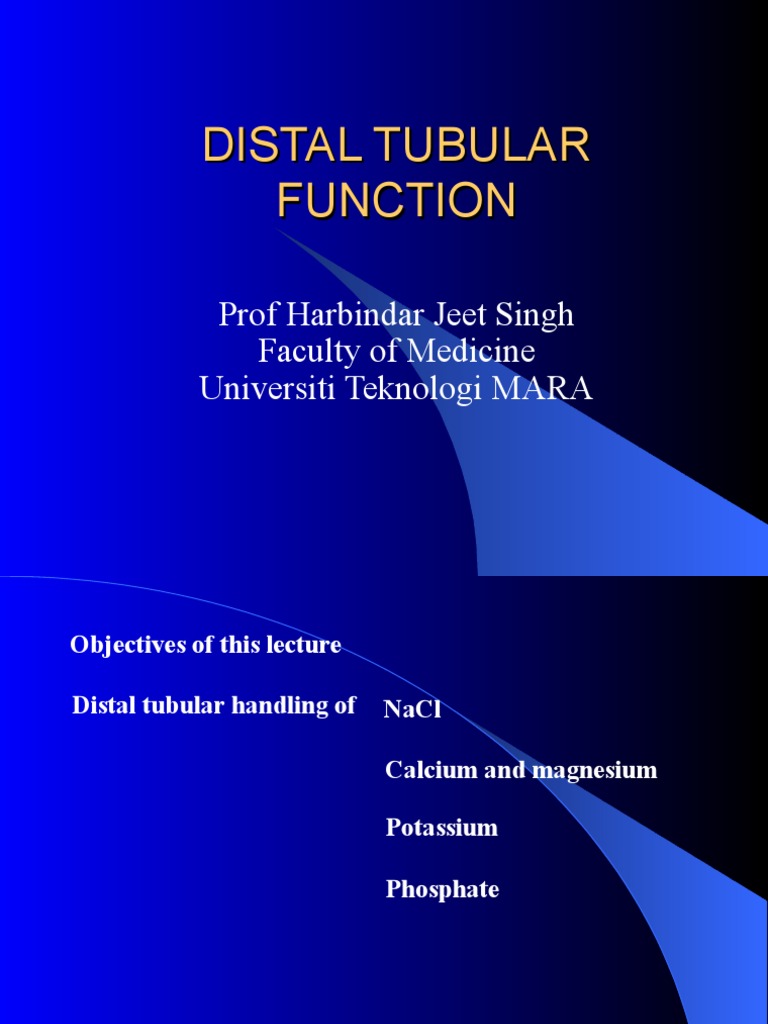Distal Tubule Function in Renal Physiology | PDF | Kidney | Nature