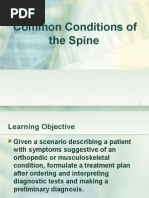 Download Common Spine Disorders by KoRnflakes SN14249011 doc pdf