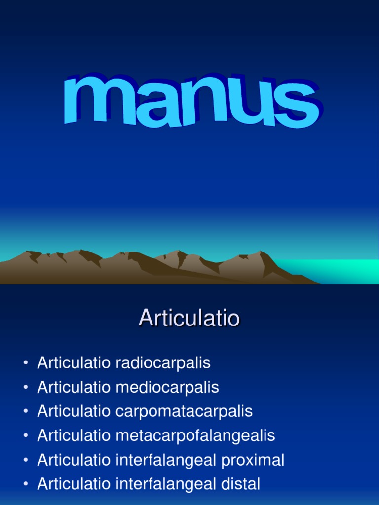 Manus | PDF