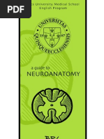 Download BRYs Neuroanatomy by Zohair Sayyid SN142502236 doc pdf