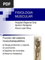 Fisiologia Muscular