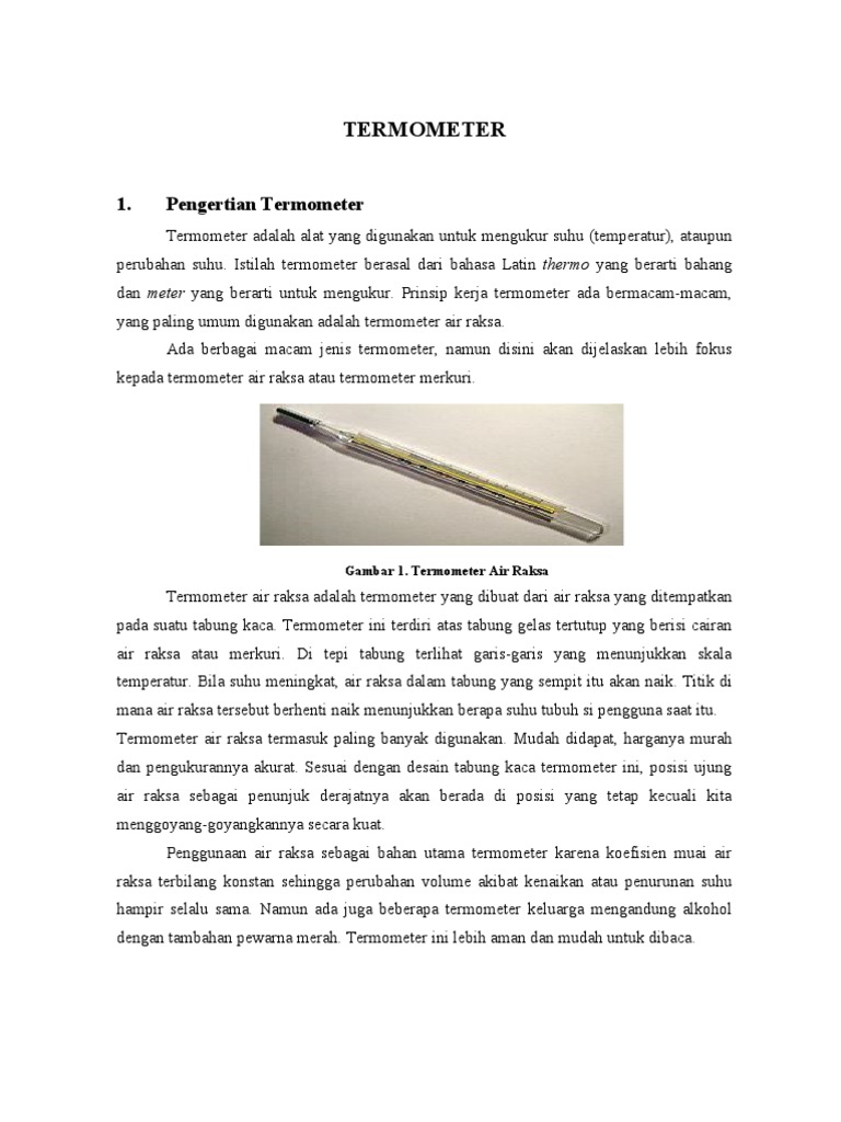 Termometer Pdf