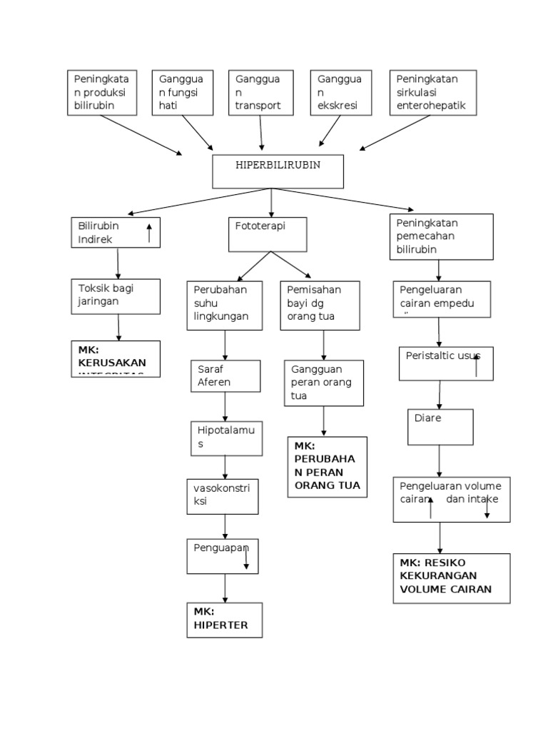 Pathway Hiperbilirubin