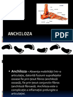 48080286-Anchiloza-Szasz-Timea-2003