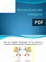 Metabolismo Del Nitrógeno