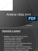 29 Antena Riblja Kost