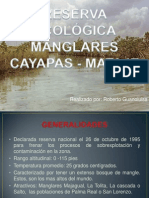 Reserva Ecológica Manglares Cayapas - Mataje
