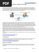 Download 13 Week Cash Flow Analysis by ModelSheet SN14256029 doc pdf