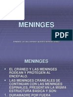 Meninges