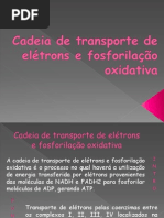 GRUPO 2 - FOSFORILAÇAO OXIDATIVA SLIDE