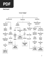 Pathway Post Operasi Craniotomy