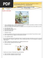 atividade 6º ano cadeia alimentar