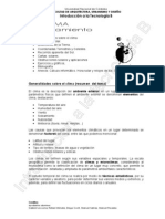 EL SOLEAMIENTO PDF - Copy.pdf