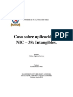 Caso Aplicación NIC 38