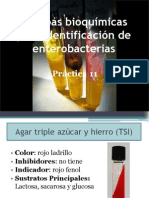 11 Pruebas Bioquc3admicas de Identificacic3b3n de Enterobacterias