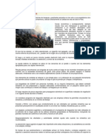 INCENDIOS FORESTALES