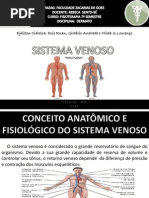 Sistema Venoso(1)