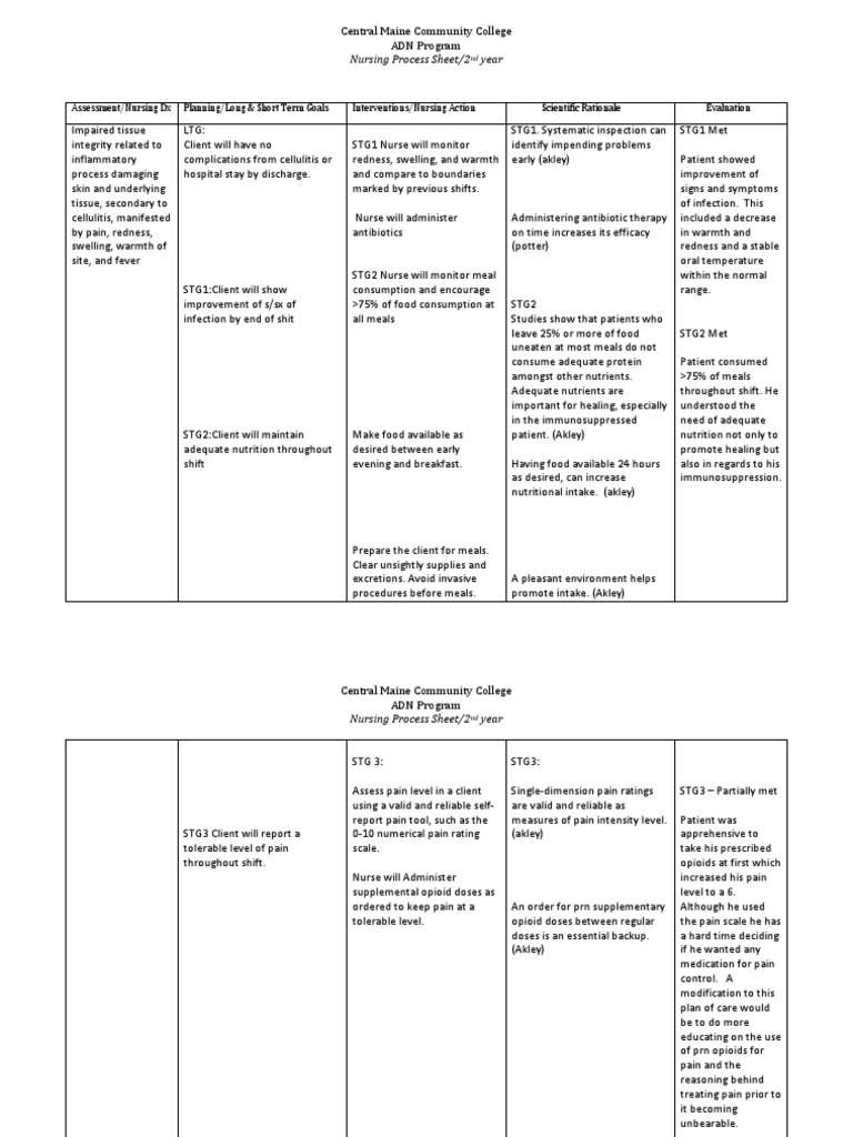 Impaired Tissue Integrity Nursing Care Plan Pain Opioid