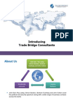 Trade Bridge Consultants
