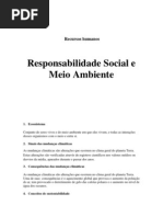 Responsabilidade Social