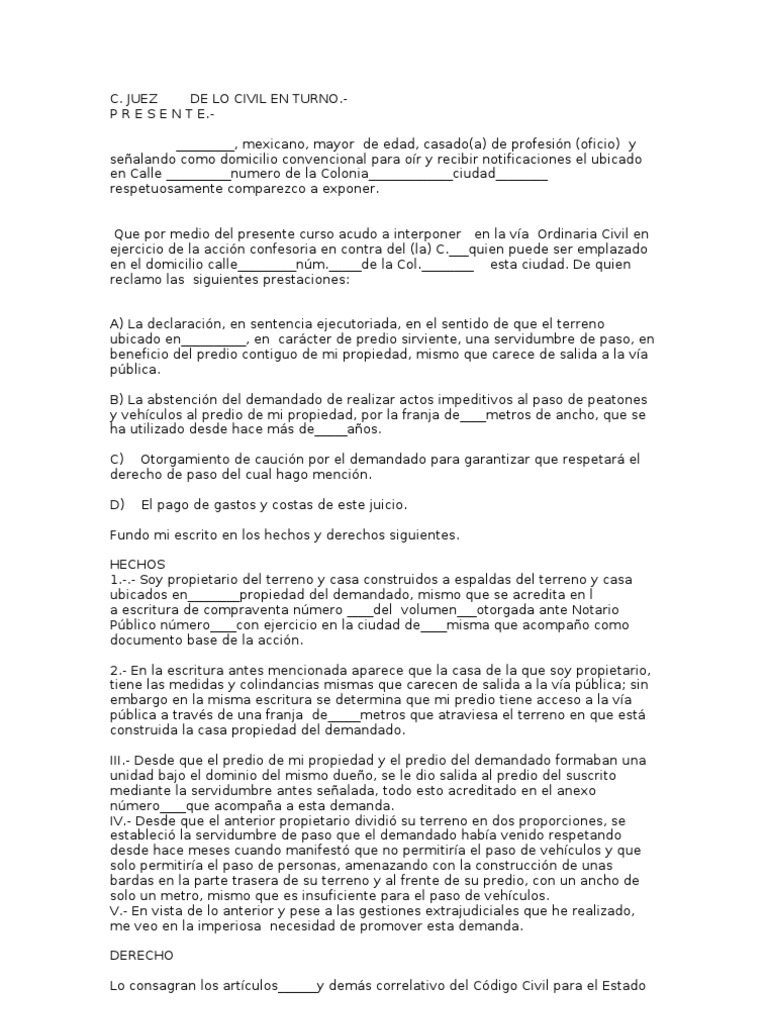 Formato de Accion Confesoria | PDF | Demanda judicial | Calle
