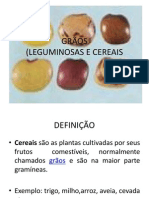 Slides de GRÃOS