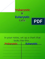 Prokaryotes Eukaryotes