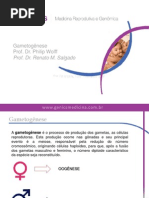Aula - Gametogênese