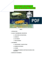 Purin Concepto Elaboracion Yortig PDF