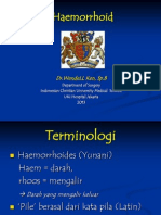 Hemorrhoid - Dr. Wendell (100413)