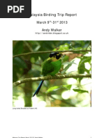 Download Malaysia Birding Trip Report by AWBirder SN142726634 doc pdf