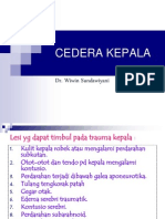 127004234-cedera-kepala1